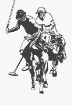 U.S. Polo Assn.